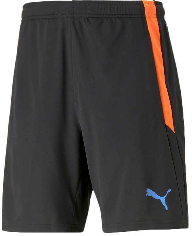 Shorts Puma teamLIGA Shorts Sort | 657667-50, 0