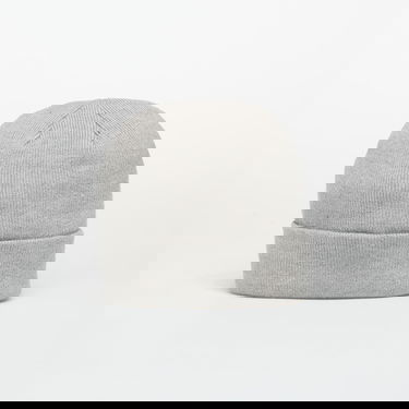 Beanie Nike Terra Swoosh Beanie Universal Grå | HF0189-063, 1