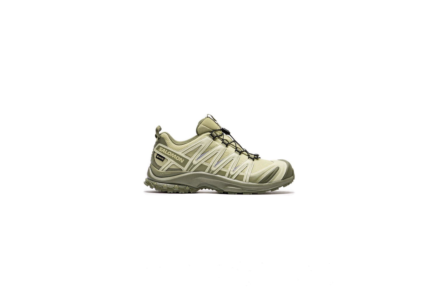 Sneakers og sko Salomon XA PRO 3D Gore-Tex Grøn | L47731600, 0