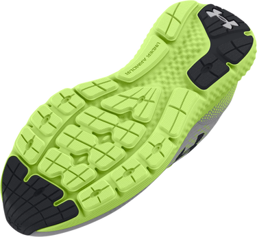 Sneakers og sko Under Armour Charged Rogue 4 Grå | 3027106-101, 2