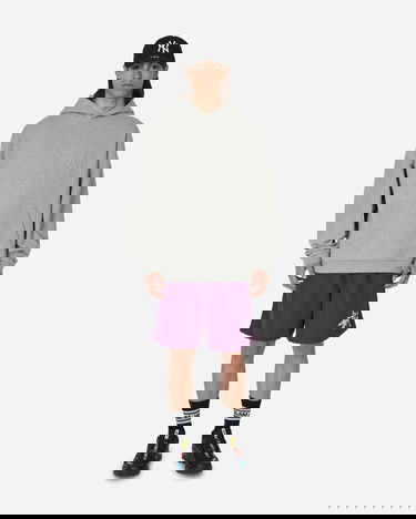 Badetøj Stüssy Big Basic Water Shorts Lilla | 113156 PLUM, 4