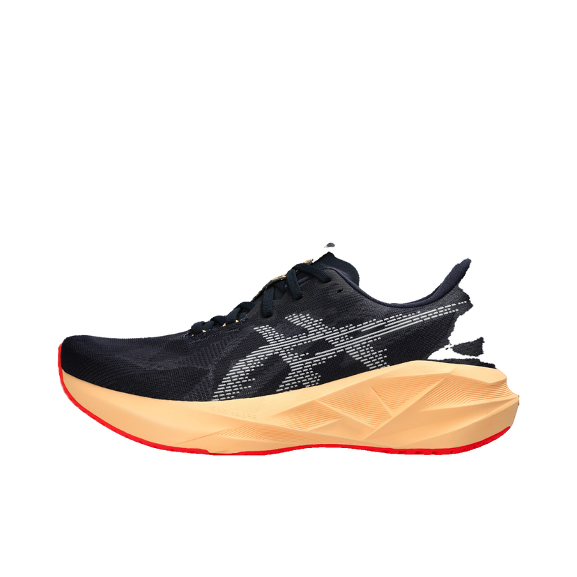 Sneakers og sko Asics NOVABLAST 5 Sort | 1011b974-404
