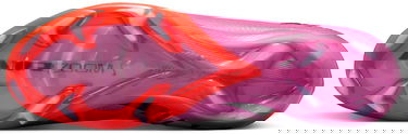 Sneakers og sko Nike Zoom Vapor 16 Elite FG Lyserød | fq1457-600, 5