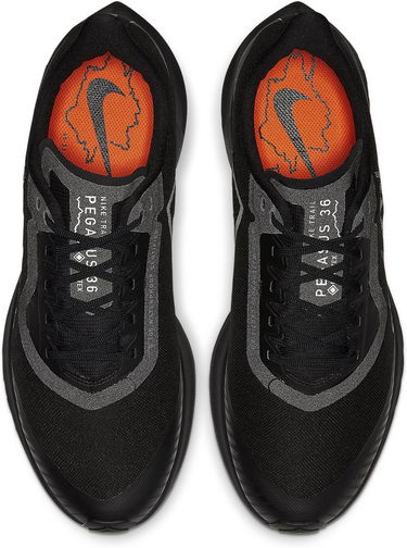 Sneakers og sko Nike Zoom Pegasus 36 TRAIL GTX Sort | bv7762-001, 3