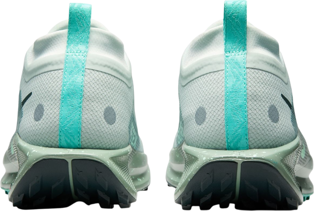 Sneakers og sko Nike Pegasus Trail 5 GORE-TEX Grøn | fq0908-013, 1