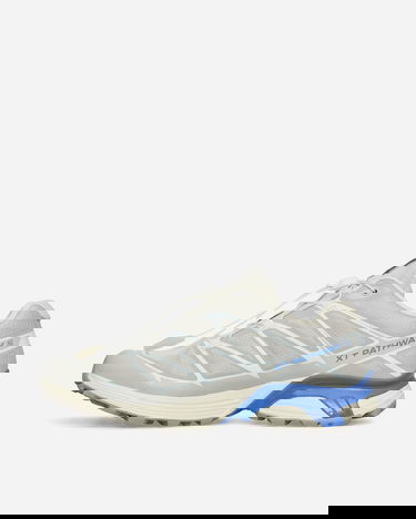 Sneakers og sko Salomon XT-Pathway 2 Grå | L47808100, 3