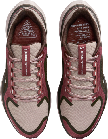 Sneakers og sko Nike Pegasus 41 GORE-TEX Bourgogne | fq1357-200, 2