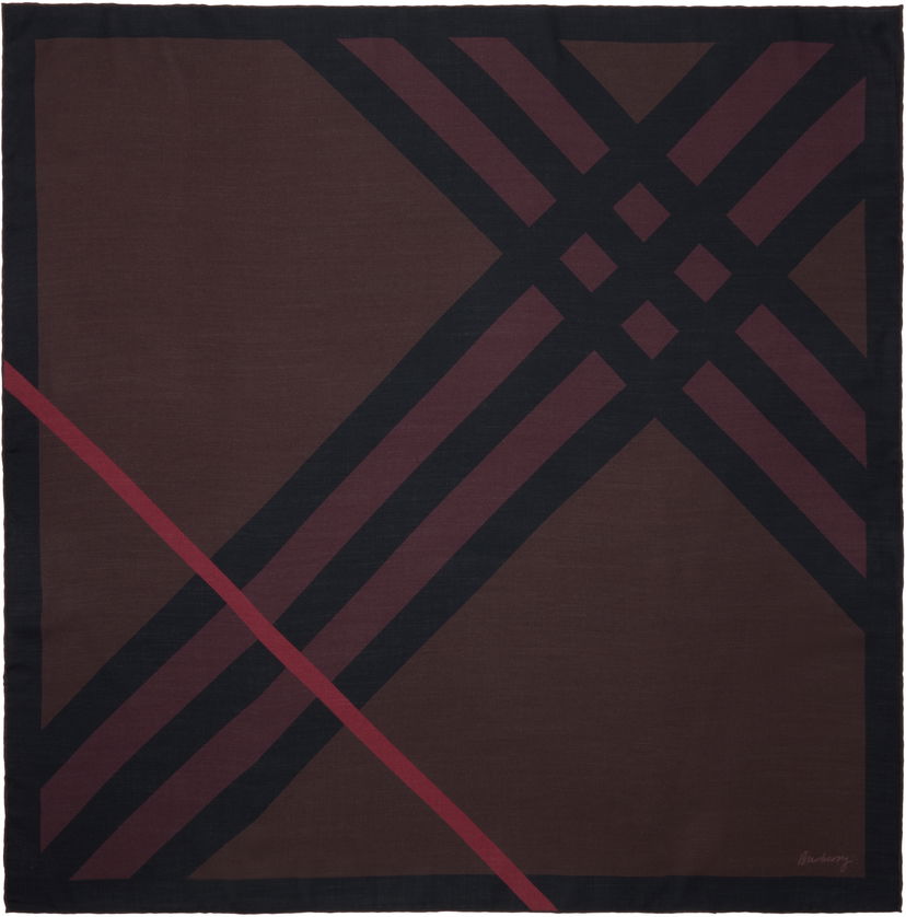 Tørklæde Burberry Burberry Check Cashmere Silk Scarf Brun | 8116717