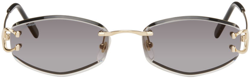 Solbriller Cartier Cartier Oval Sunglasses Grå | CT0467S-001