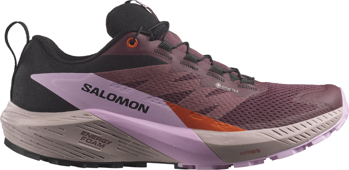 Sneakers og sko Salomon SENSE RIDE 5 GTX W Bourgogne | l47592300, 0