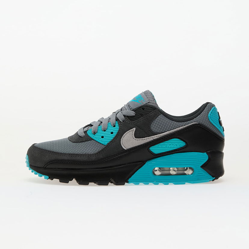Sneakers og sko Nike Air Max 90 Sort | DM0029-013