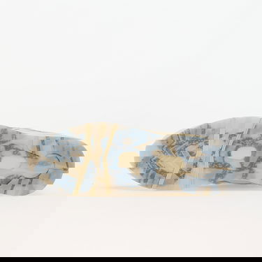 Sneakers og sko Karhu SPECTRUM x Aria 95 Silver Birch/ Spectrum Blue Beige | F803124, 5