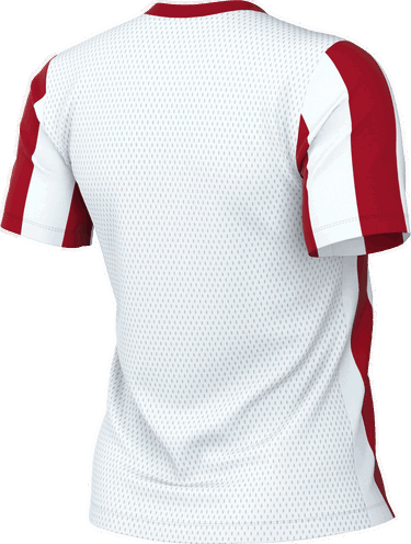 Jersey Nike Nike Striped Division V Jersey Rød | fz9339-104, 1
