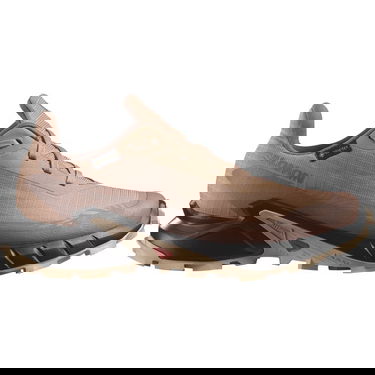 Sneakers og sko Salomon Alphacross 5 Gore-Tex Beige | L47595100, 0