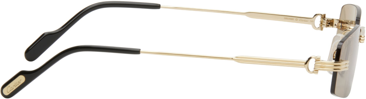 Solbriller Cartier Cartier 'Première de Cartier' Sunglasses undefined | CT0535S-003, 1