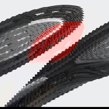 Sneakers og sko adidas Performance Ultraboost 21 Sort | GX5236, 4