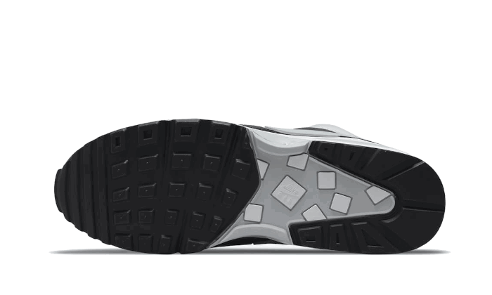 Sneakers og sko Nike Air Max BW ''Lyon'' Grå | DM6445-001, 1