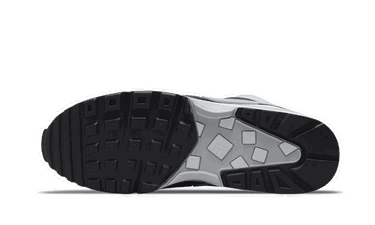 Sneakers og sko Nike Air Max BW ''Lyon'' Grå | DM6445-001, 1