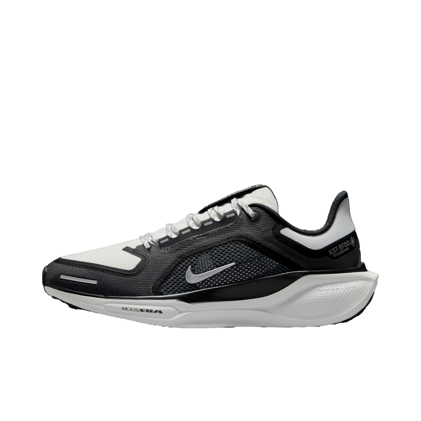 Løbe Nike Pegasus 41 GORE-TEX Sort | fq1357-002