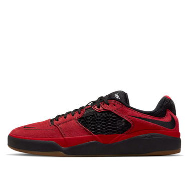 Sneakers og sko Nike SB Ishod Wair Rød | DC7232-600, 1