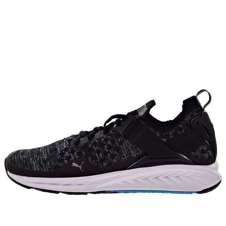 Sneakers og sko Puma Ignite EvoKnit Lo Sort | 189904-01