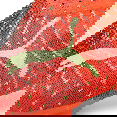 Sneakers og sko Puma FUTURE 1.4 FG/AG Rød | 106989_03, 10