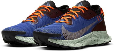 Sneakers og sko Nike Pegasus Trail 2 GTX Blå | cu2016-600, 4