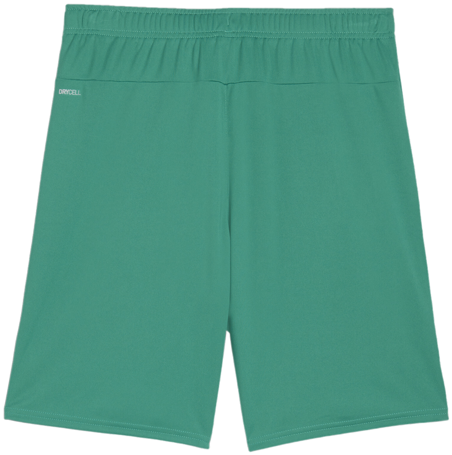 Shorts Puma teamGOAL Shorts Grøn | 705752-05, 1
