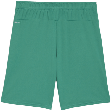 Shorts Puma teamGOAL Shorts Grøn | 705752-05, 1