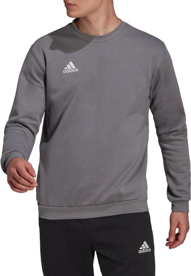 Sweatshirt adidas Originals Sweatshirt Entrada 22 Grå | h57479, 0