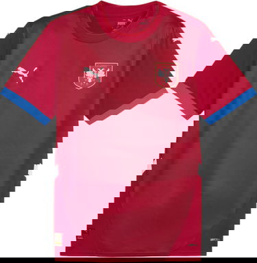 Jersey Puma FSS Home Jersey Replica 2024 Rød | 774300-01, 0
