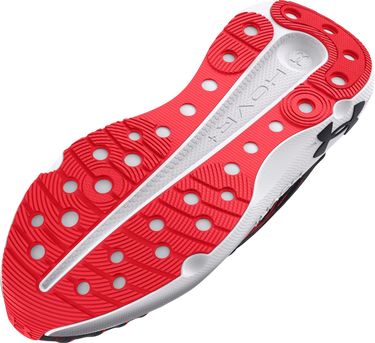 Sneakers og sko Under Armour Infinite Elite W Sort | 3027199-005, 2