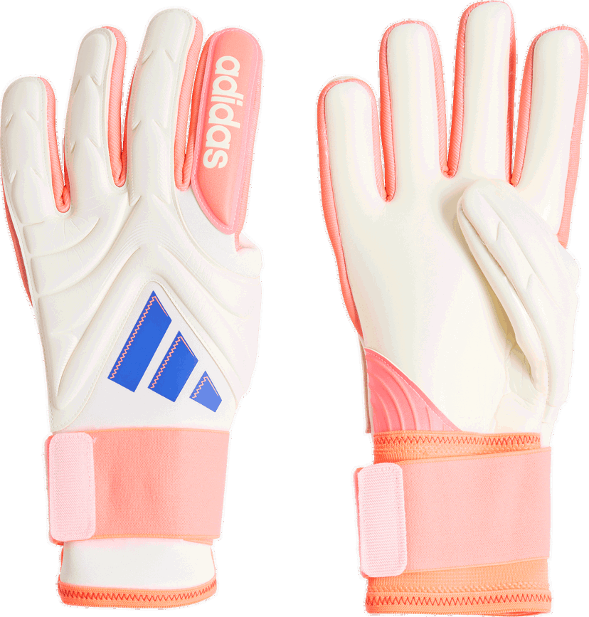 Handsker adidas Originals Copa Pro Goalkeeper Gloves Flerfarvet | jn5336