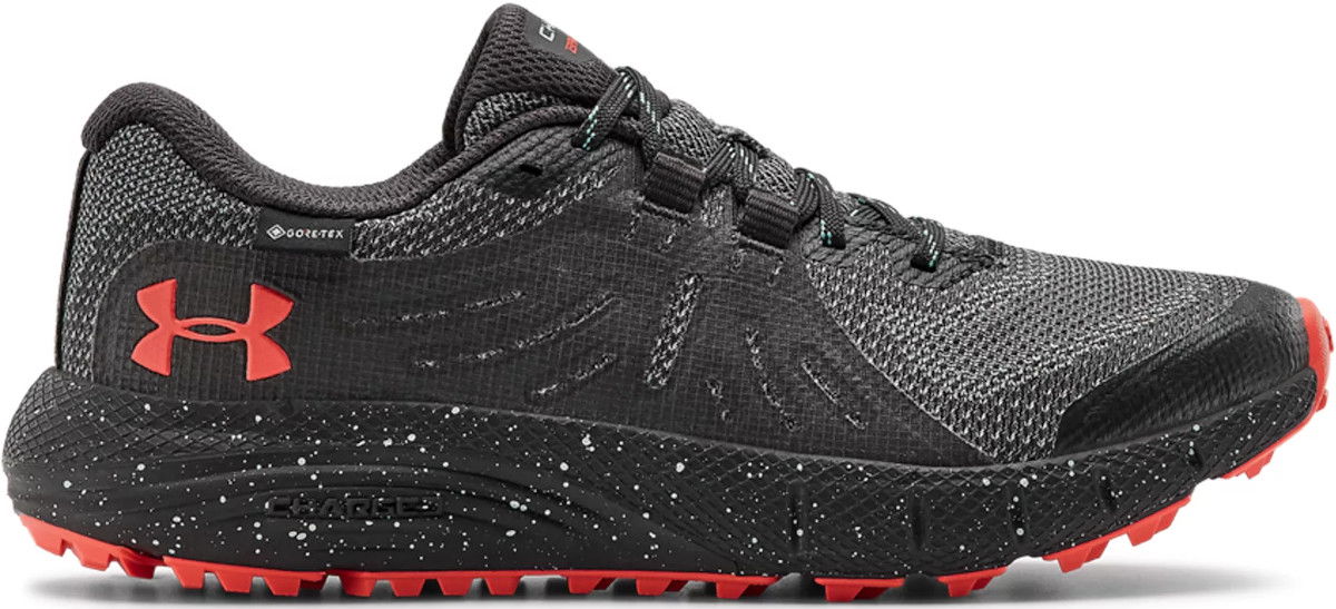 Sneakers og sko Under Armour Charged Bandit Trail GTX W Grå | 3022786-101, 0
