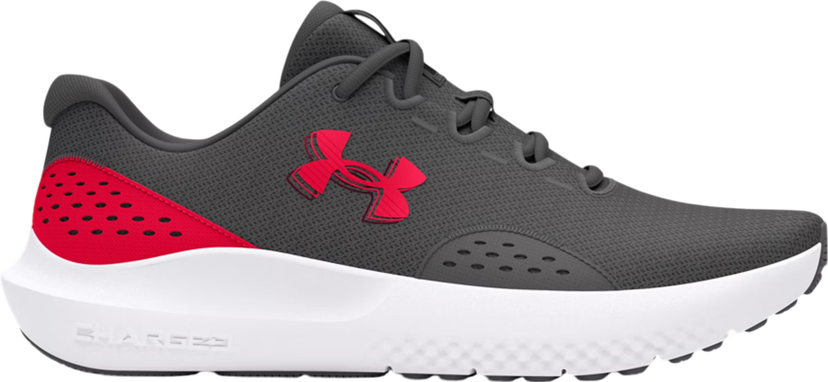 Sneakers og sko Under Armour UA Charged Surge 4 Grå | 3027000-107