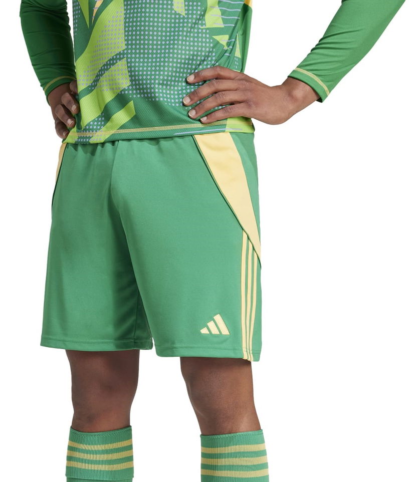Shorts adidas Performance adidas TIRO24 SHO Grøn | it2414