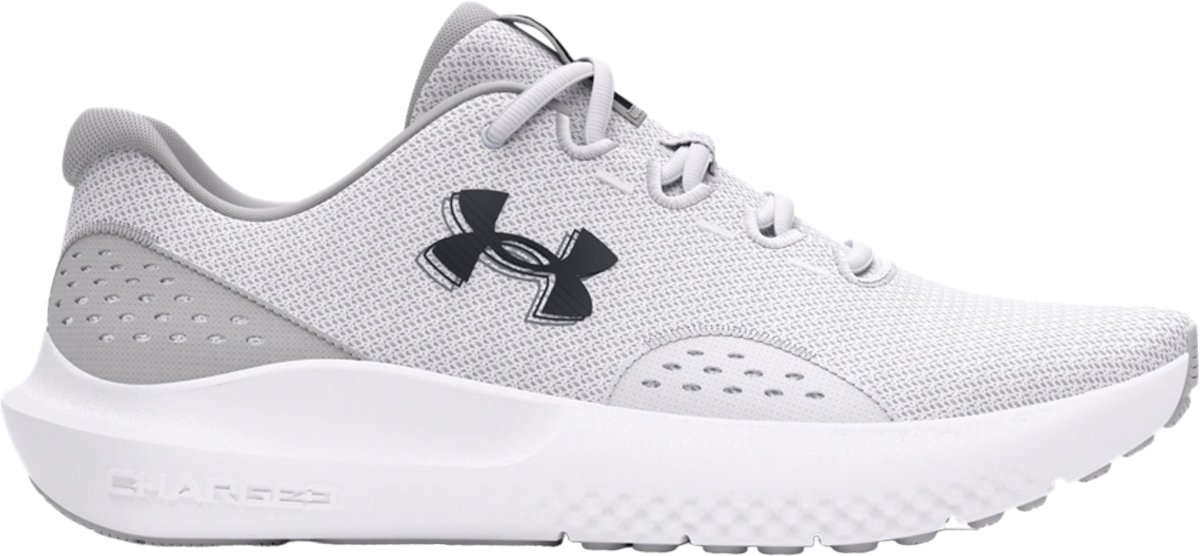 Sneakers og sko Under Armour UA Charged Surge 4 Grå | 3027000-100, 0