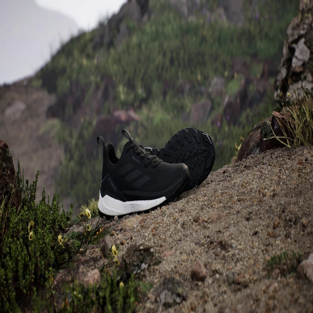 Sneakers og sko adidas Performance Terrex Free Hiker 2.0 Low Gore-Tex Sort | IH0671, 1