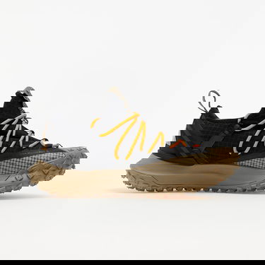 Sneakers og sko Nike ACG Mountain Fly Low Brun | DA5424-200, 1
