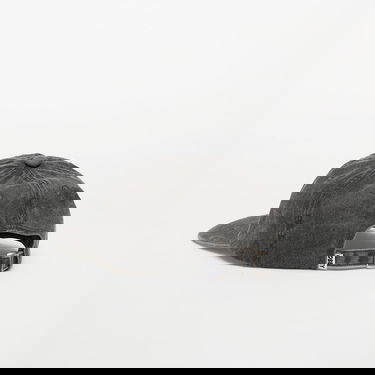 Kasket OBEY OBEY Pigment Bold 6 Panel Strapback Cap Sort | 100580418-BLK, 2