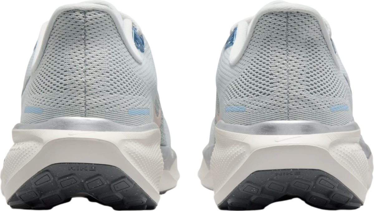 Sneakers og sko Nike Pegasus 41 Grå | fd2723-007, 1