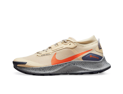 Løbe Nike Pegasus Trail 3 GTX Brun | dc8793-200