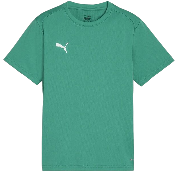 T-shirt Puma teamGOAL T-Shirt Grøn | 658636-05