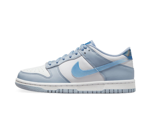 Sneakers og sko Nike Dunk Low Next Nature Blue Iridescent (GS) Blå | FJ4668-400