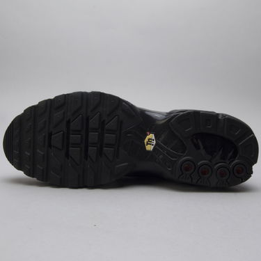 Sneakers og sko Nike Air Max Plus Sort | AJ2029-001, 2