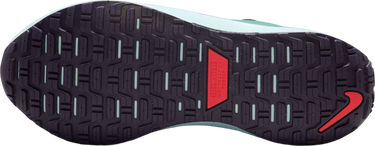 Sneakers og sko Nike InfinityRN 4 GORE-TEX Grøn | hq3128-300, 4