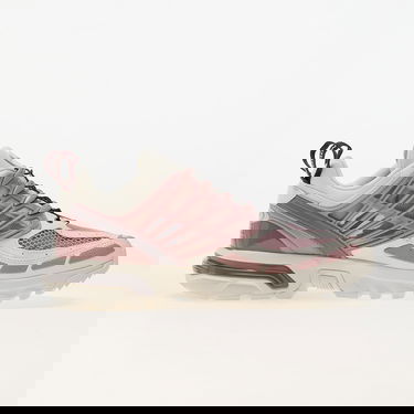 Sneakers og sko Salomon ACS Pro Vanilla Ice/ Deauville Mauve/ Plum Kitten Lyserød | L47596800, 2