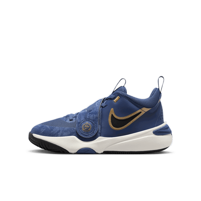 Sneakers og sko Nike Team Hustle D 11 Blå | FZ8463-400