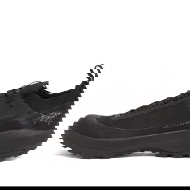 Sneakers og sko Arcteryx Vertex Alpine Gore-Tex Sort | X000009602-021572, 1