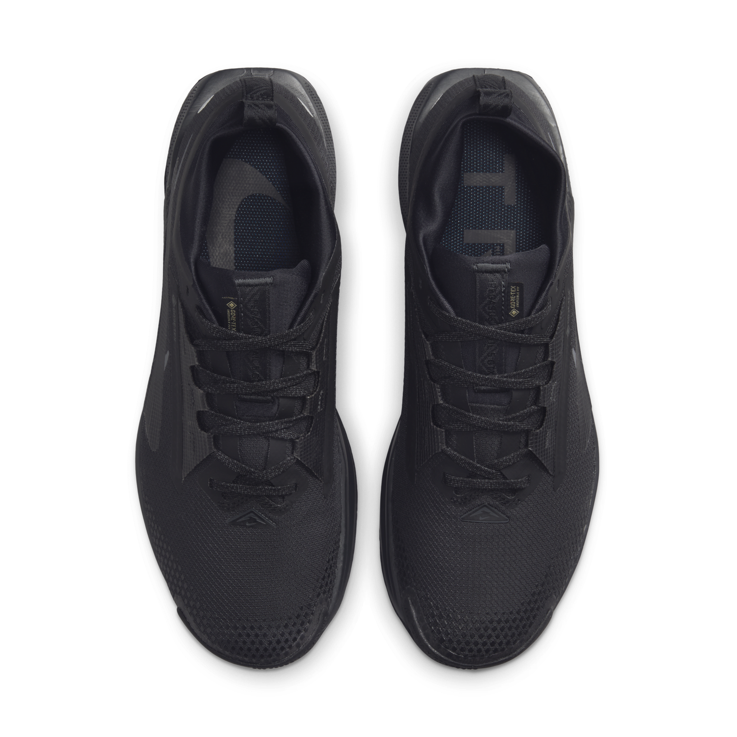Sneakers og sko Nike Pegasus Trail 5 GORE-TEX Sort | FQ0908-002, 1